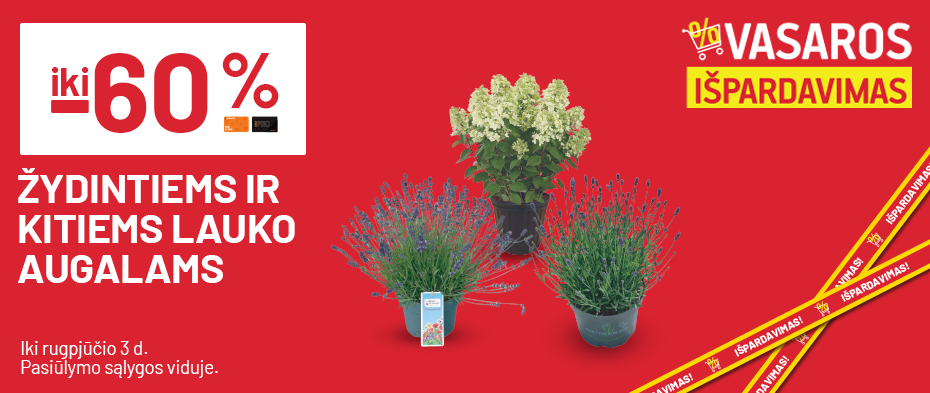 iki -60% Žydintiems ir kitiems lauko augalams