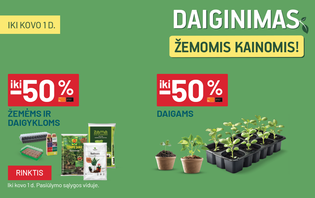 VASARIS - Daiginimas - iki -50% Žemėms ir daigykloms ir iki -50% daigams