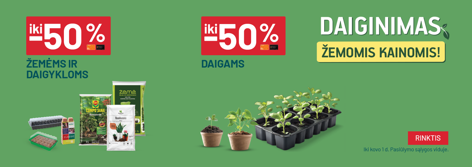 VASARIS - Daiginimas - iki -50% Žemėms ir daigykloms ir iki -50% daigams