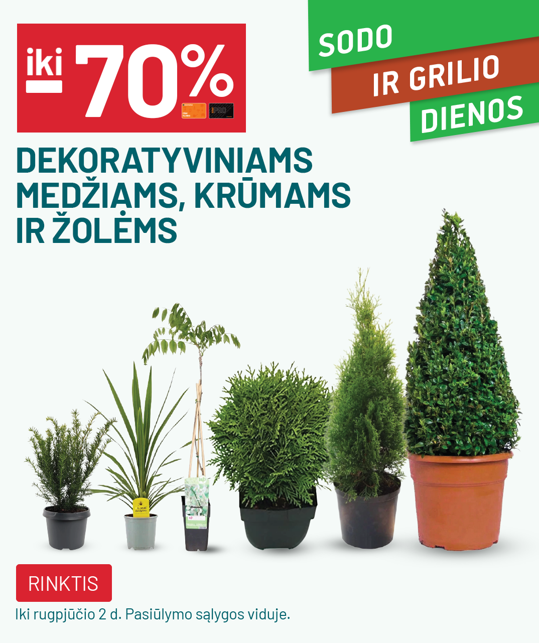 iki -70% Dekoratyviniams medžiams, krūmams ir žolėms