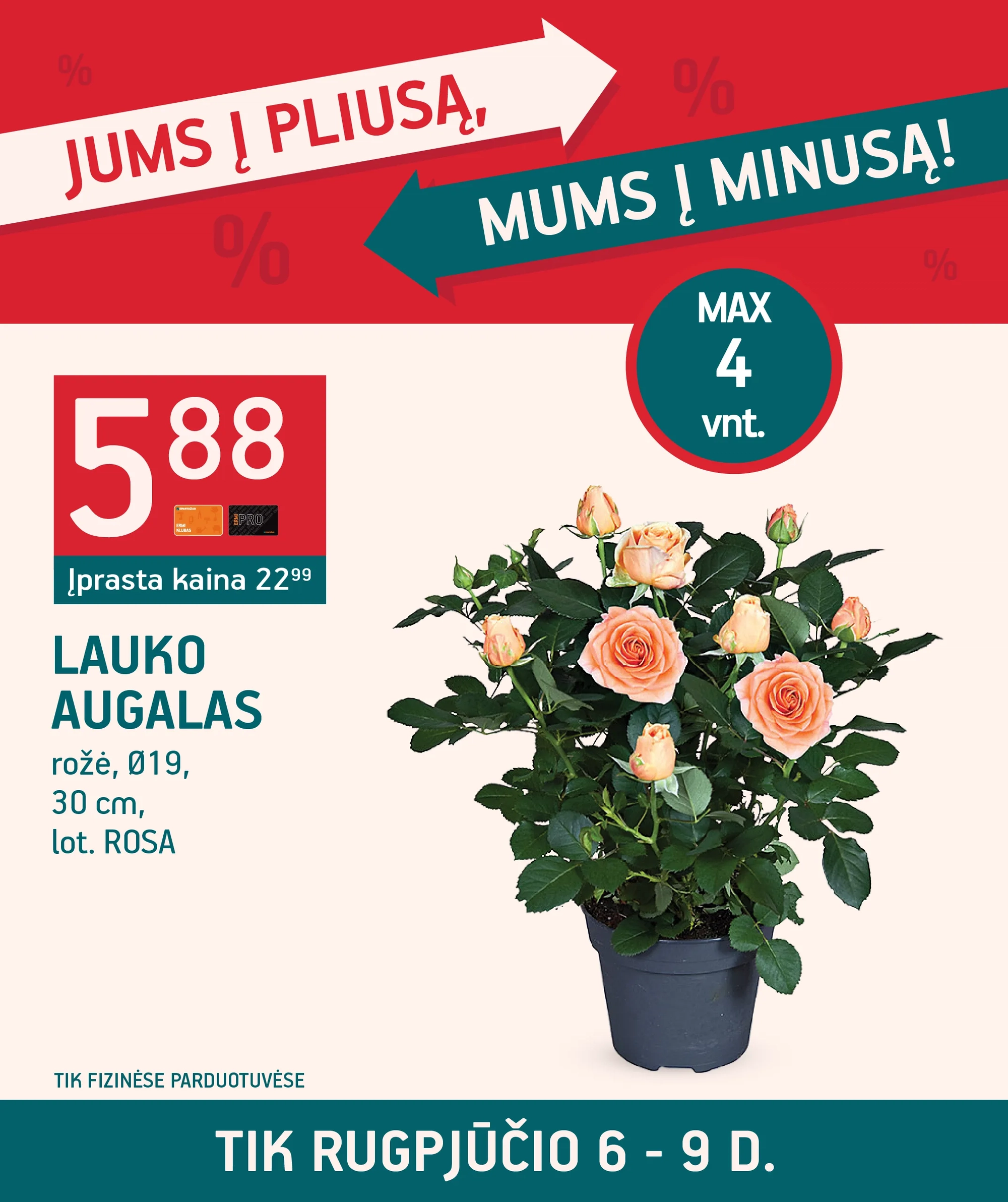 Lauko augalas