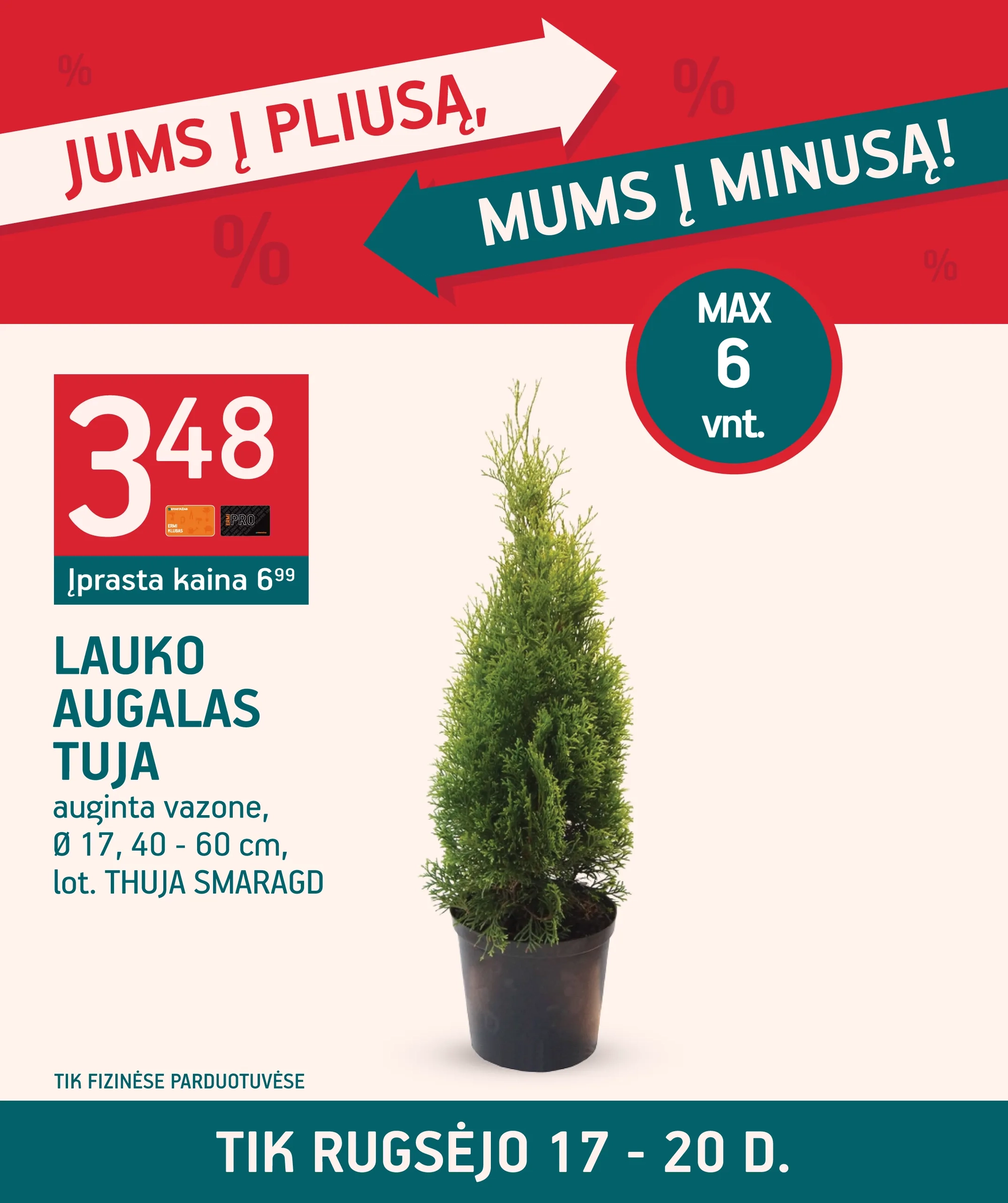 Tuja