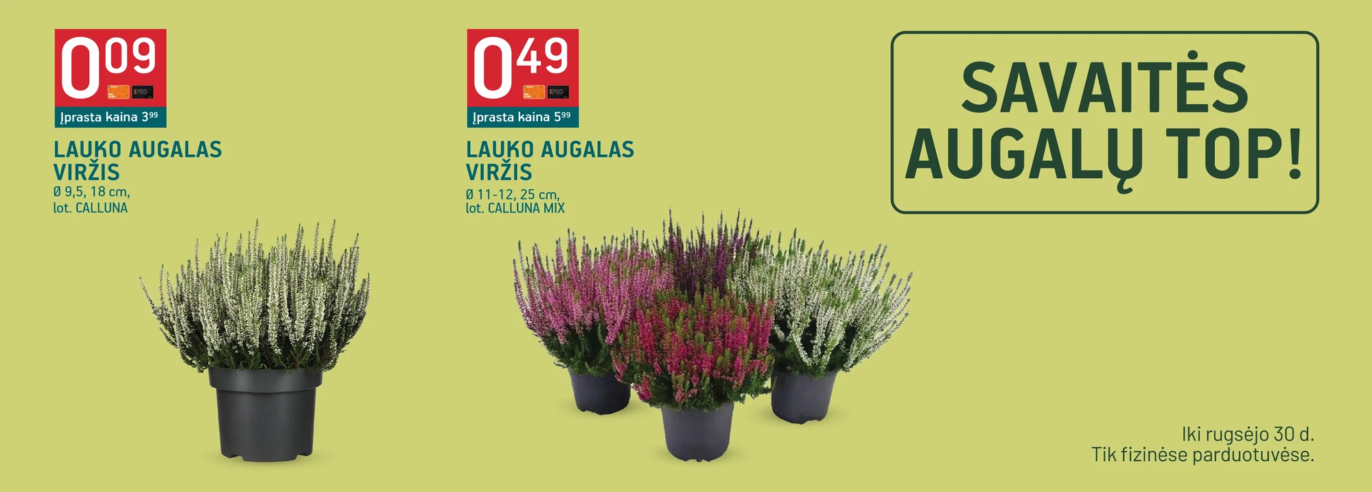 Savaitės augalų TOP