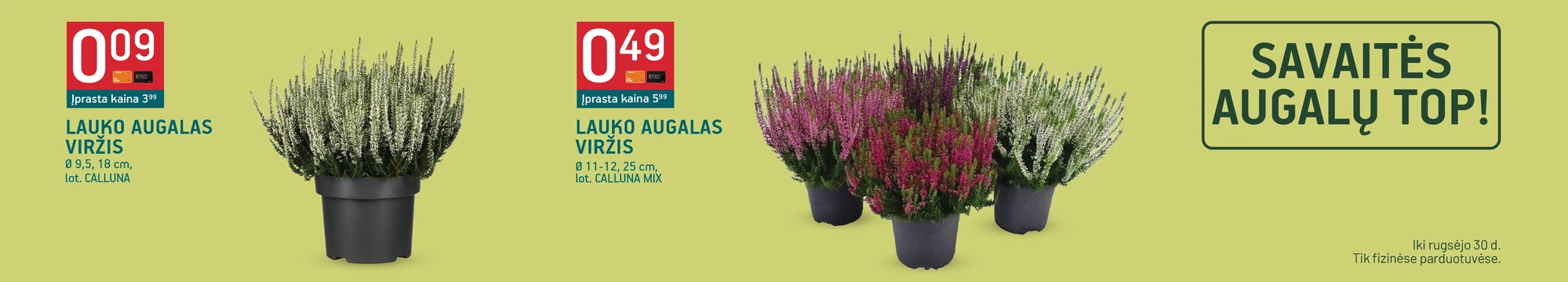 Savaitės augalų TOP