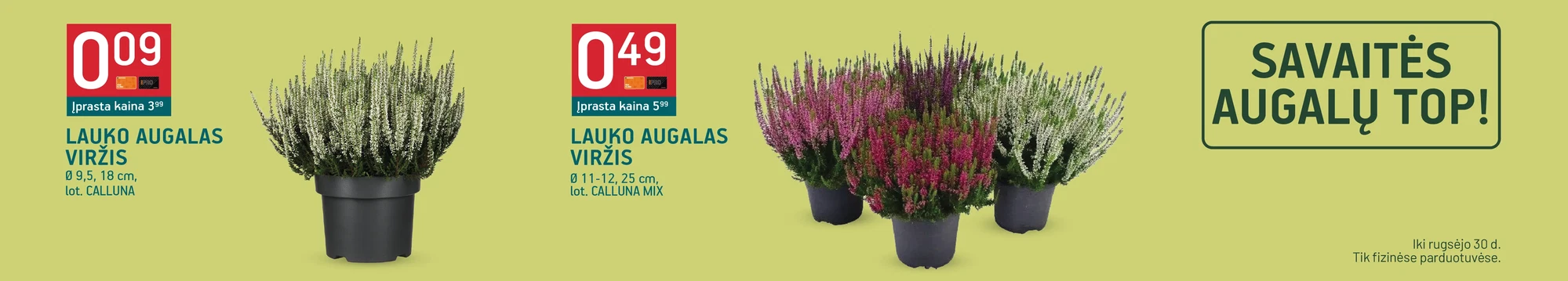 Savaitės augalų TOP