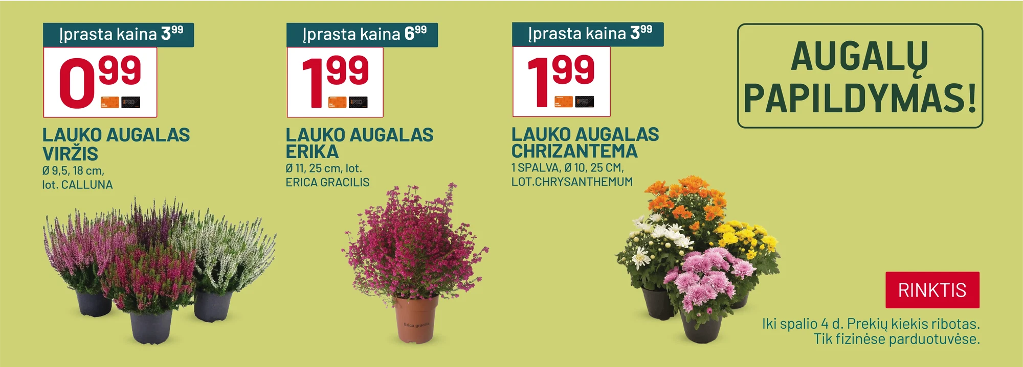 Augalų papildymas (lki 10 04)